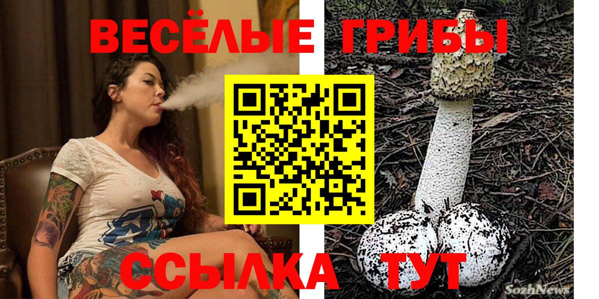 Кизилюрт  Псилоцибиновые грибы Cubensis  Вход с VPN 
